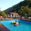 하얀둥지펜션 이미지