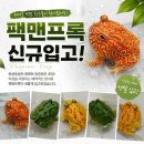 파충류샵아토리