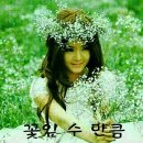 바람이의보물창고 이미지