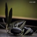 경주굿모닝병원 | 건천리요양원 굿모닝 요양원 부모님을 위한 최선의 선택