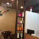 엘리스헤어 이미지