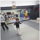 도마효태권도장 이미지