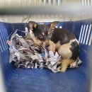 어연보건진료소 이미지