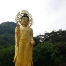 법주약국 이미지