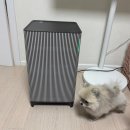 펫큐브 | 삼성 펫 큐브 공기청정기 1등급 가격 후기 추천