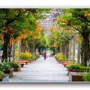 부천중앙공원 이미지