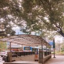 합동행정사 이미지