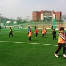 무공체육관 이미지