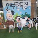 김포 연보람목장 피자만들기 소젖짜기 송아지우유주기 체험 아이랑가볼만한곳