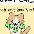 고야미 이미지