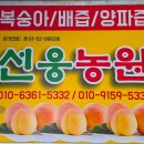 선웅농원 이미지