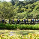 공작산생태숲 이미지