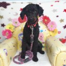 부강119안전센터 이미지