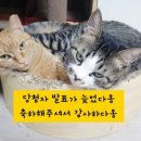 이리베베