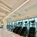 바디프로짐 가양점 이미지