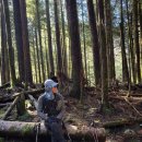 26/04/04 정기산행- Otter Falls 이미지