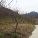 하동산초농장