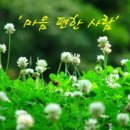 편(便)