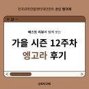 [가을 시즌 12주차 엥고라 후기]with 베스트리뷰🎖️