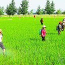 천남농장 이미지