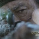 대호심지