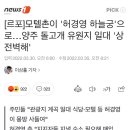 [르포]모텔촌이 '허경영 하늘궁'으로…양주 돌고개 유원지 일대 '상전벽해' 이미지