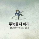 비전수학