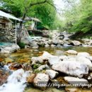 시냇가 펜션 이미지