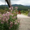 백두그린 이미지