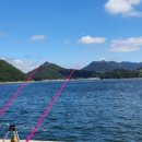 고니민박 이미지