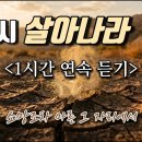 NJ006 Daum카페