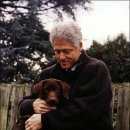 애견나라 이미지