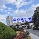 쇠스랑남천 이미지