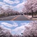 숲속의 작은집 이미지