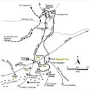 자이언트포레스트 이미지