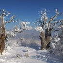 목화노래방 이미지