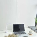 파트너 오피스