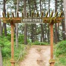 엘도라도 이미지