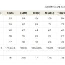 디 라운드 이미지