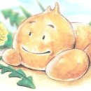 강아지똥 Daum카페
