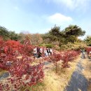 박영준농장 네이버블로그