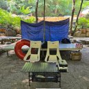 사지목 나무그늘 이미지