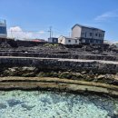 쑥먹은 염소 | 무더운 여름 제주 1일차 제주 동부 여행 코스 [함덕해수욕장, 청굴물, 비밀의 숲]