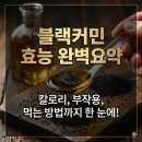 현대항균세탁소 | 블랙커민효능 완벽요약 칼로리, 부작용, 먹는 방법까지 한 눈에!