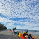 강진-8 | 와이크 스탬프투어, 로컬라이드 강진 2일차 | 강진읍~가우도~강진만생태공원(ft.위미바이크 모델8)