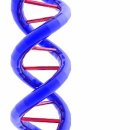 DNA[deoxyribonucleic acid] 이미지
