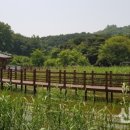 틀모산 도시숲 이미지