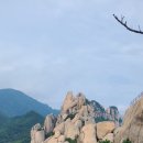 카피랜드 이미지