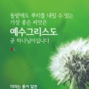 홀리씨즈교회 이미지