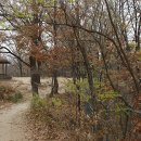 청심천배드민턴장 이미지